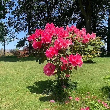 La Reserve By La Kerkus