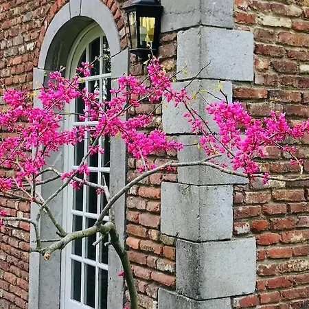 La Reserve By La Kerkus